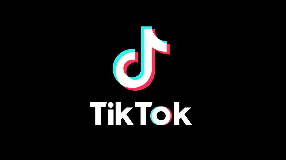 TikTok Challenges “Gatekeeper” Status in E.U.’s Digital Markets Act